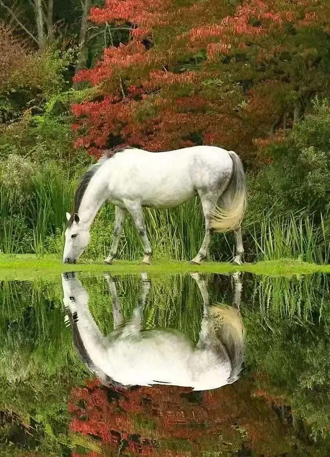 装假牙的感受,假牙真实感受