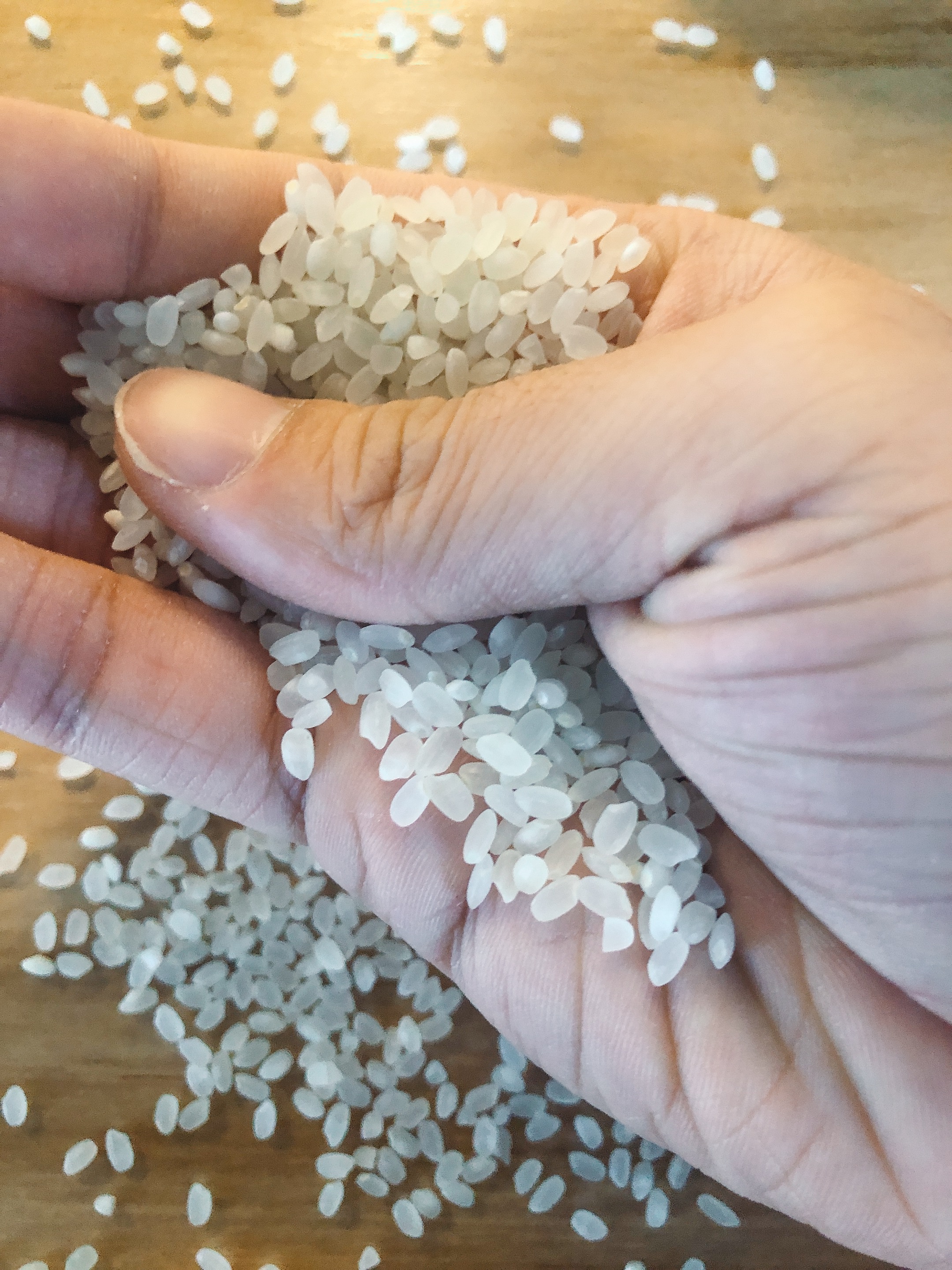 辨认好的大米的方法,区分大米的小窍门