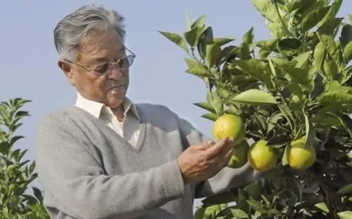 为什么大连发生宝马撞车事件，我却想到了褚时健？