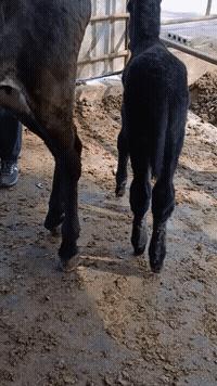 搞笑段子生意没谈成,搞笑段子不审营业执照