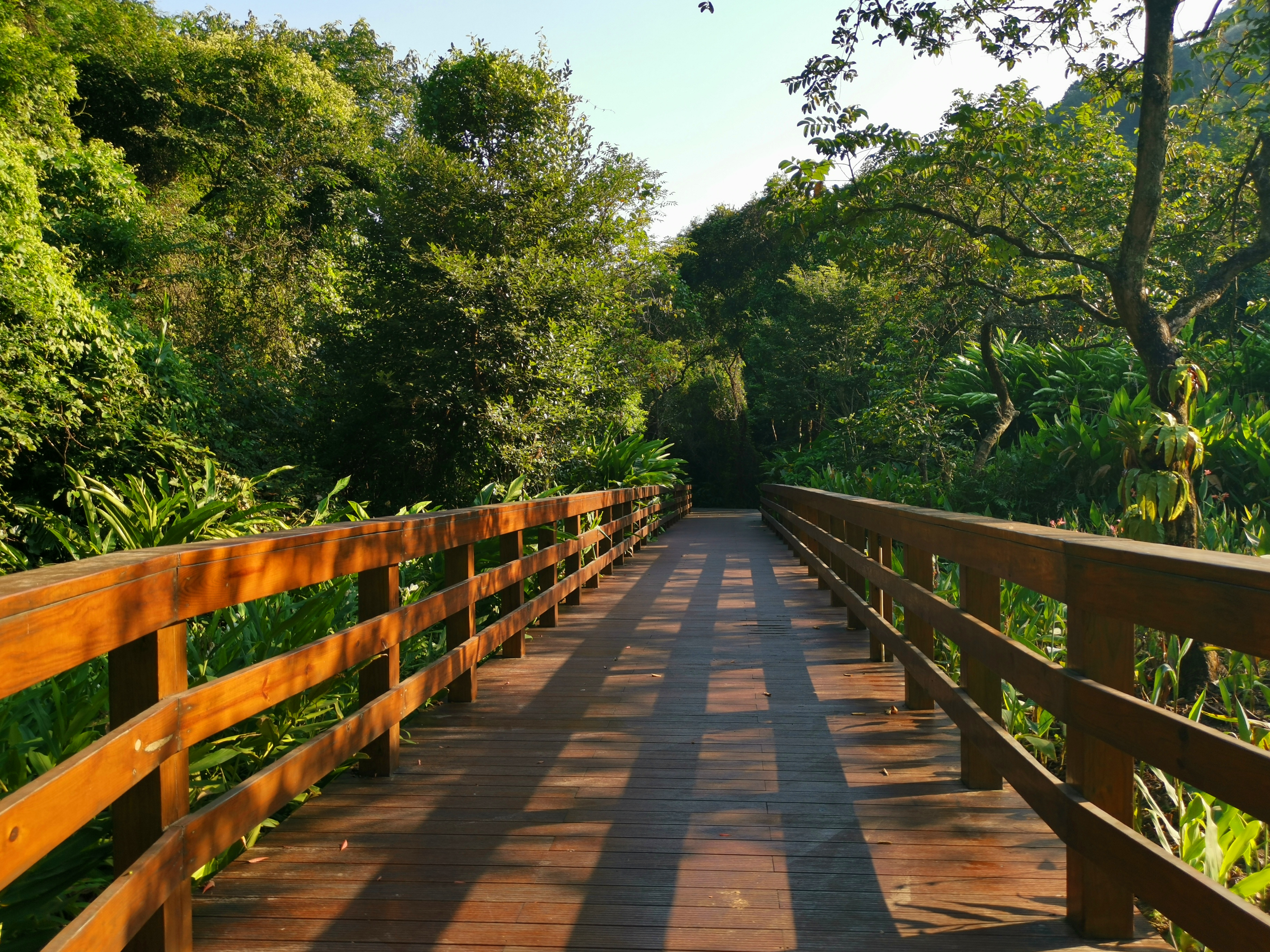 羊台山玻璃观景台在哪里,深圳羊台山最佳观景