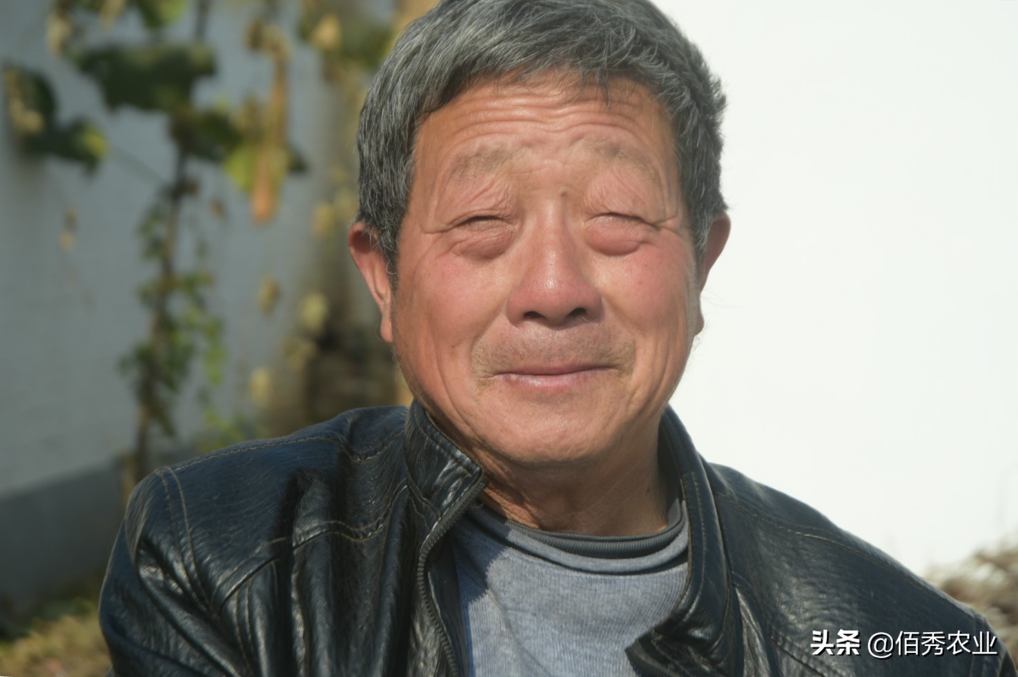 农村大叔种植果树,农村大叔种植致富