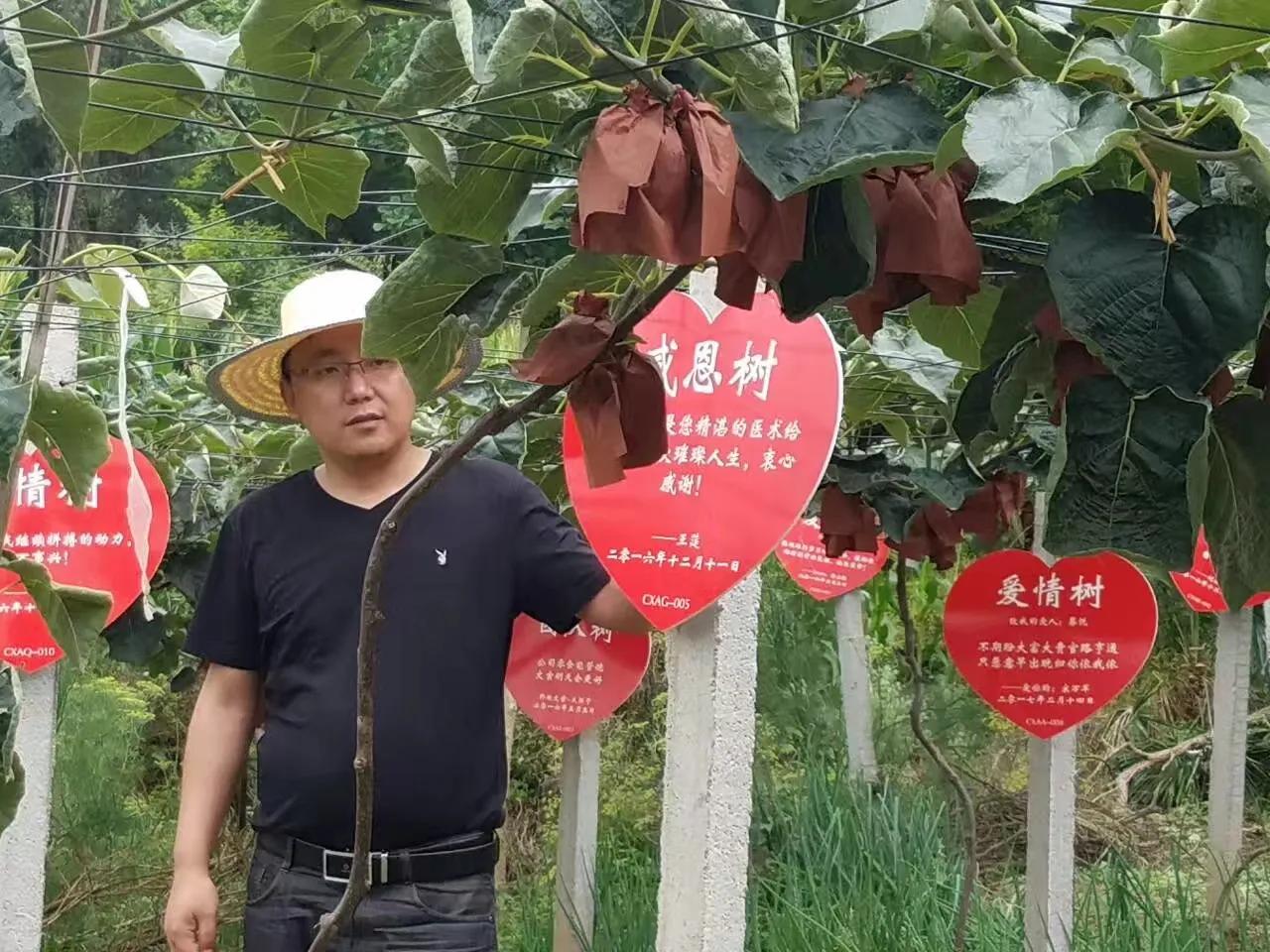 土地流转种植致富项目,农民拿土地入股怎么运作