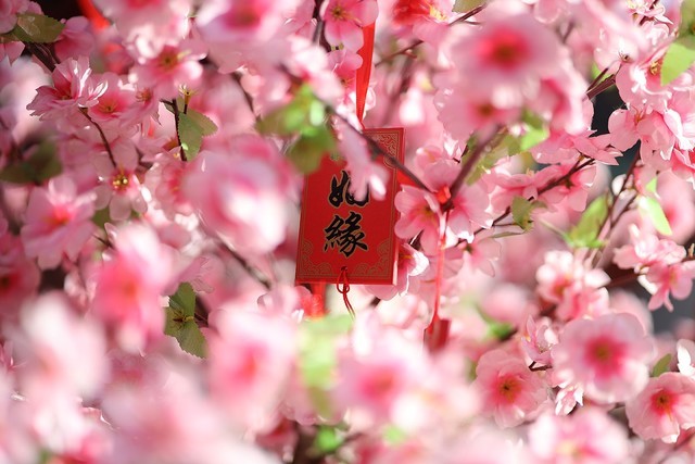 摄影圈名字大全,摄影圈的专业术语