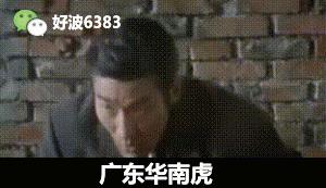 经营困难!梅县“广东华南虎”即将出售转让,CBA大老板接盘