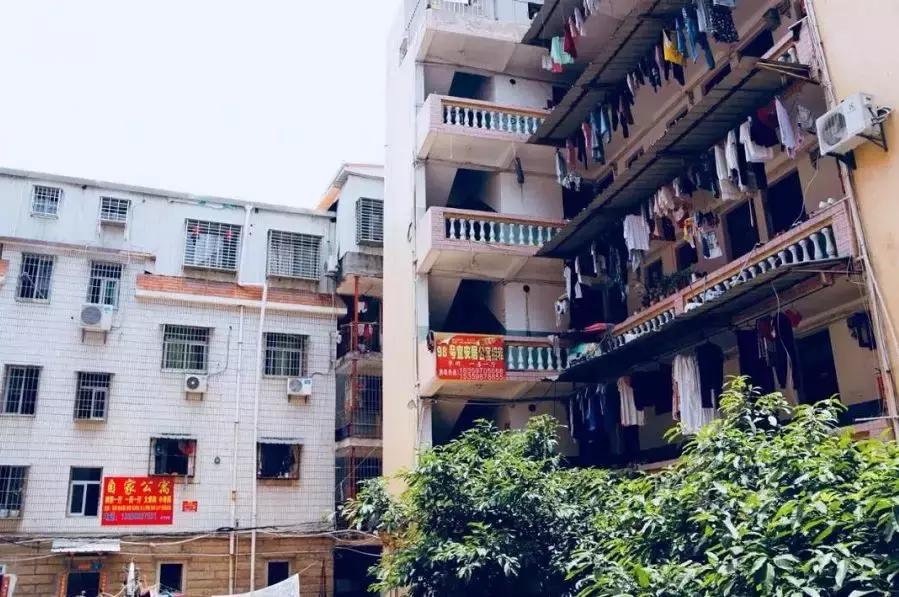 90后花3000元爆改出租房,厦门房屋出租改造