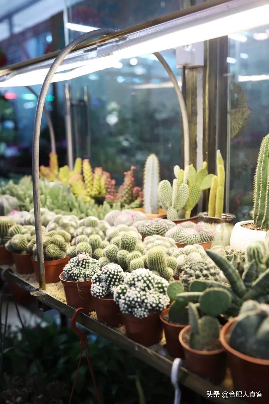 <html>
<head><title>502BadGateway</title></head>
<body>
<center><h1>502BadGateway</h1></center>
<hr><center>nginx</center>
</body>
</html>
<!--apaddingtodisableMSIEandChromefriendlyerrorpage-->
<!--apaddingtodisableMSIEandChromefriendlyerrorpage-->
<!--apaddingtodisableMSIEandChromefriendlyerrorpage-->
<!--apaddingtodisableMSIEandChromefriendlyerrorpage-->
<!--apaddingtodisableMSIEandChromefriendlyerrorpage-->
<!--apaddingtodisableMSIEandChromefriendlyerrorpage-->
