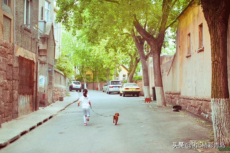 恋恋青岛，春深似海