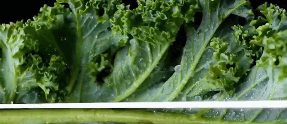 为什么年纪轻轻就头发花白,为什么年纪轻轻就长白头发