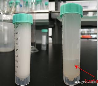 图片一键抠图,剪映怎样抠除黑色背景