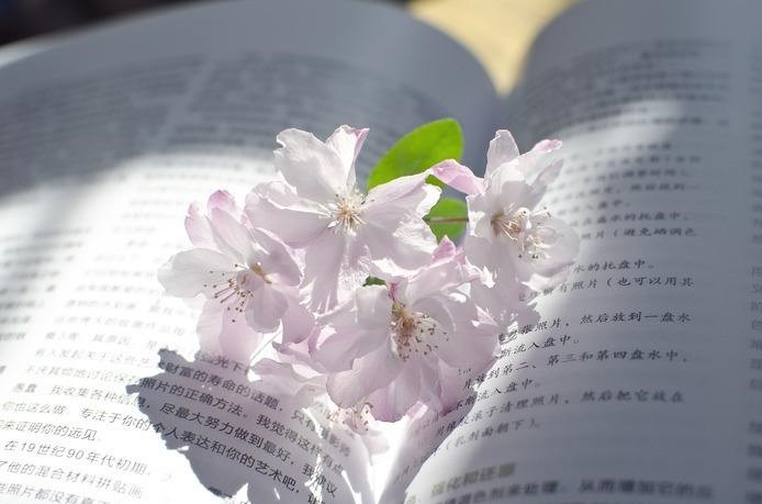 金融类论文去哪个网站找资料,论文发表多久能在网站上查询