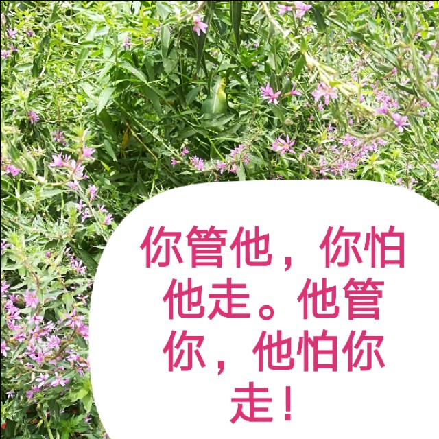 女人管不住丈夫智慧反击怎么做,婚后管不住老公的生肖