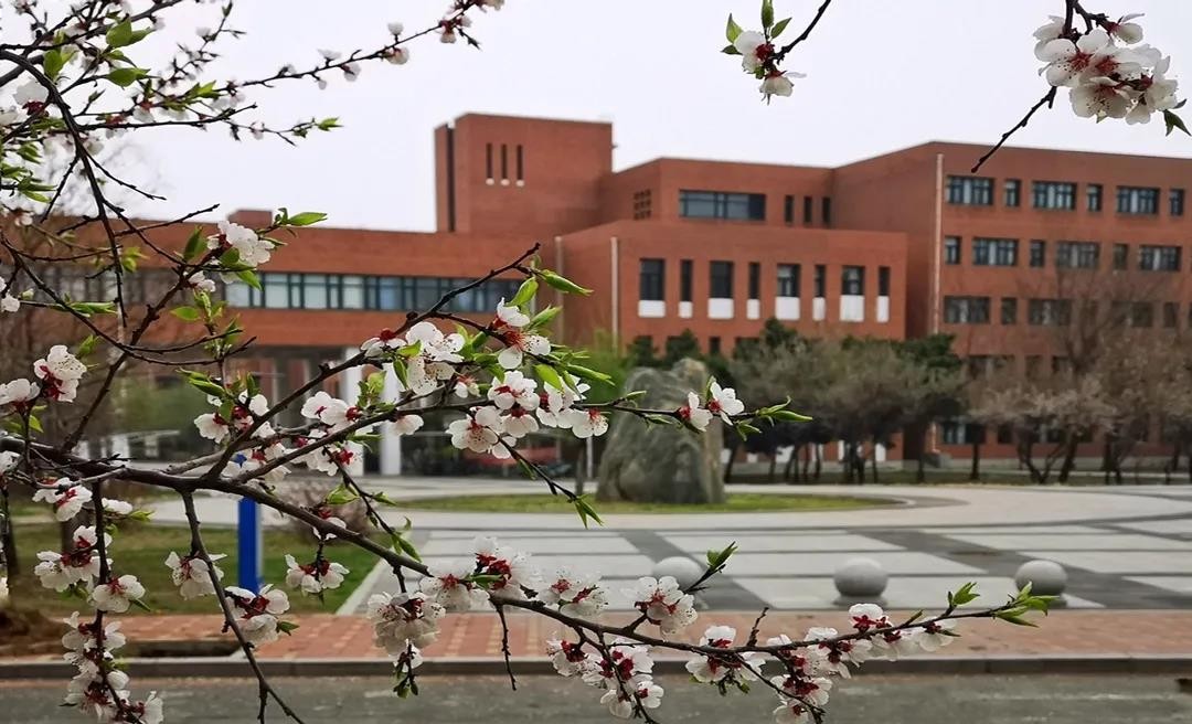 2021月收入最高的专业揭晓!这所大学10个专业强势上榜!