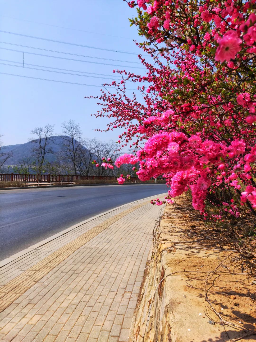 西郊山林休闲养生度假公园,休闲好去处西郊森林公园