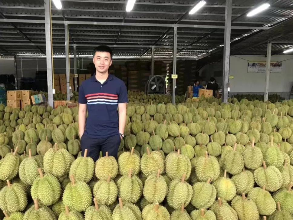 巴掌榴莲和甲仑榴莲哪个好,甲仑榴莲与金枕头榴莲口味