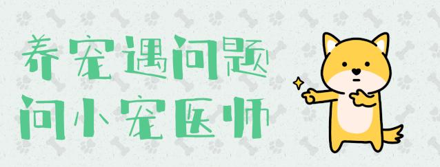 鏈夋病鏈変竴涓汉鎶婁綘瀹犳垚濂崇帇,琚竴涓汉瀹犱綘灏辨槸濂崇帇