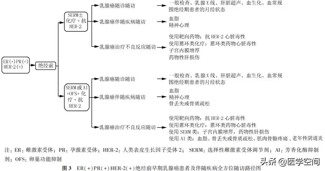 【指南与规范】乳腺癌随访及伴随疾病全方位管理指南