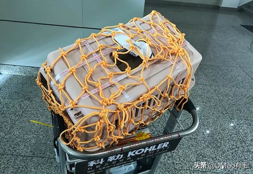 小猫咪托运怎样才最安全,如何托运小猫咪