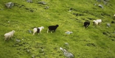 扣鼻屎、车震、随地大小便，你做的这些事全被拍下来了