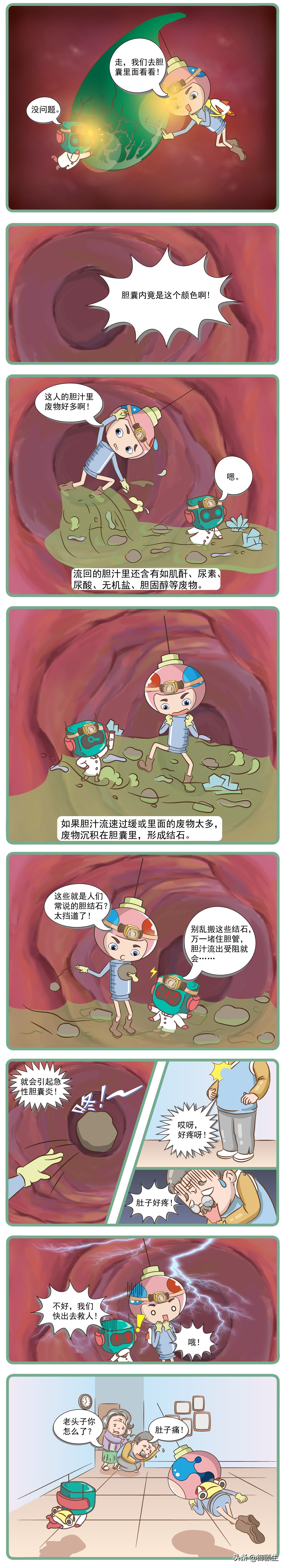 怎么区别胆囊炎和胃病症状,胃肠炎与急性胆囊炎鉴别