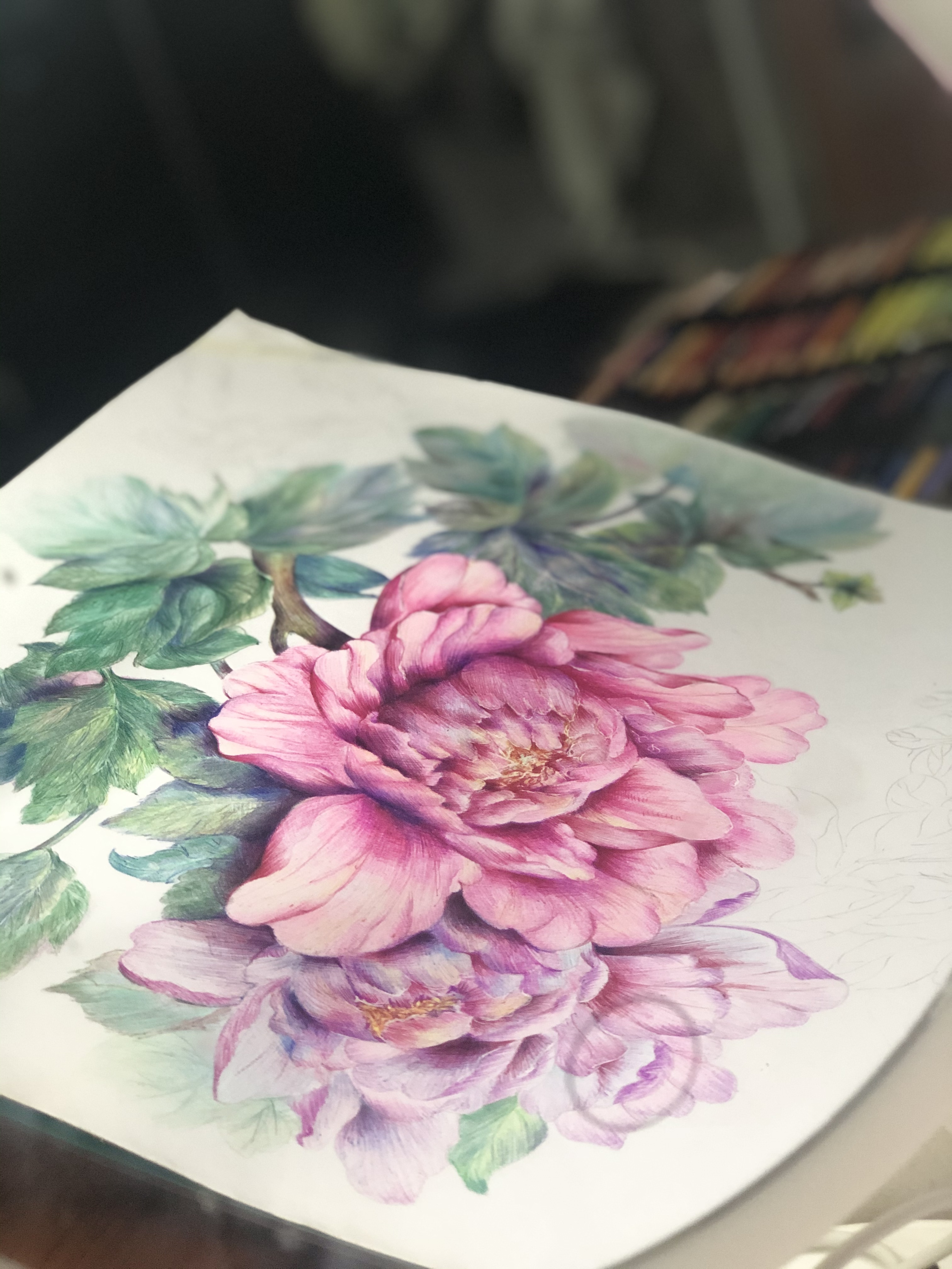 圆珠笔画牡丹教学,圆珠笔画牡丹的画法