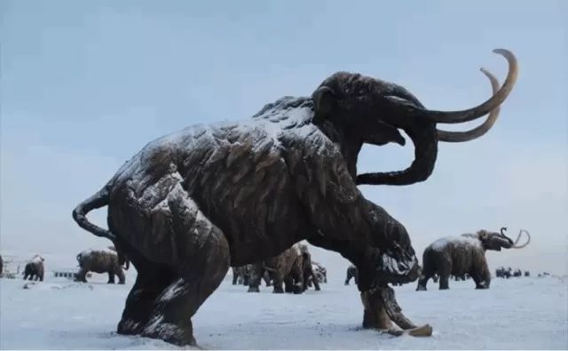 瞬变的方法,瞬变变装教学