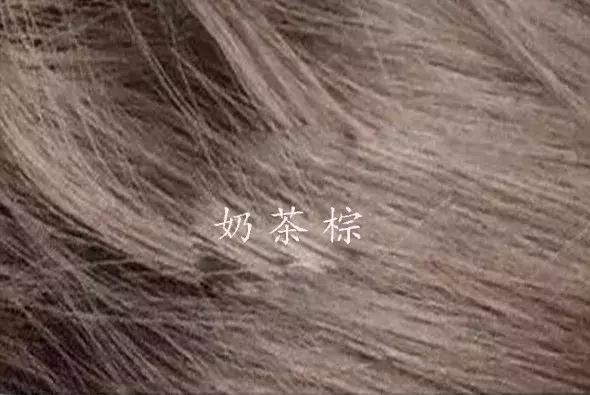 戚薇颜值巅峰到底有多高,戚薇现在为什么那么显老