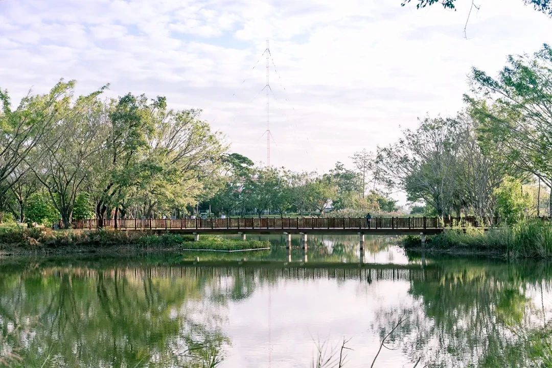 深圳3号线有哪些可以玩的,深圳7号线攻略