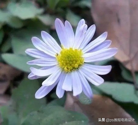 快速抠图ps人物头发,2021版ps快速抠图