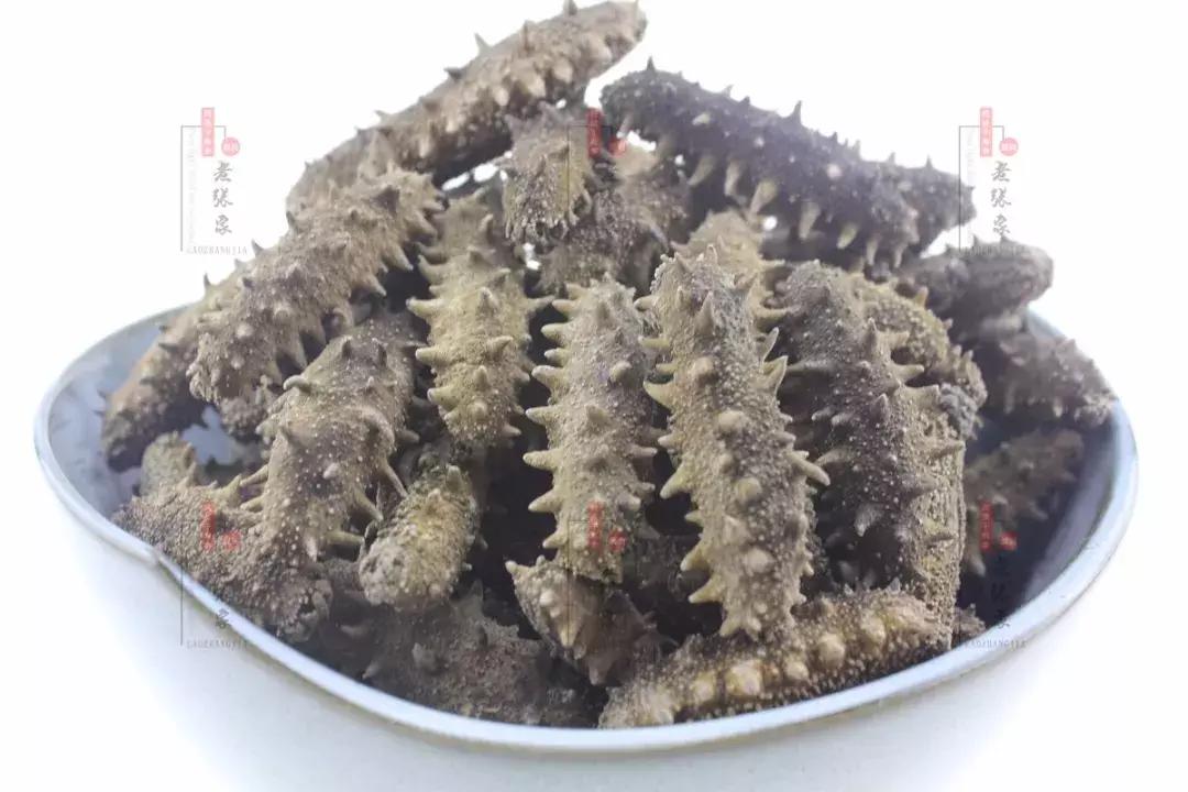 海参怎么泡发又肥又好吃视频,海参泡发后一直在水里泡着吗