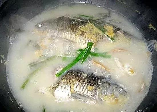 鲫鱼的“宿命”，上万条的繁殖能力，却因自身5大优势，数量骤降