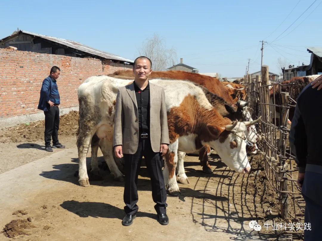 2023肉牛行情分析,2023-2024中国肉牛行情还会下跌吗