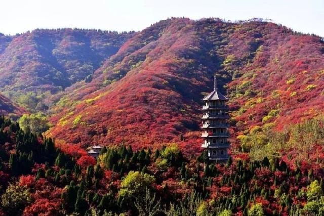 济南旅游景点推荐带孩子玩,济南旅游景点推荐适合带孩子