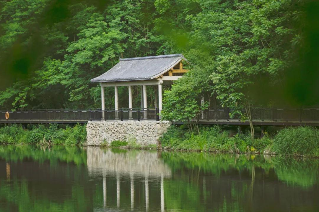 栾川湖景民宿,栾川森林氧吧民宿