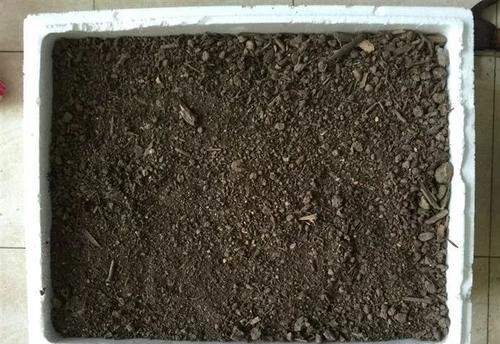 养花如何沤制土,要怎么养花才不会烂根