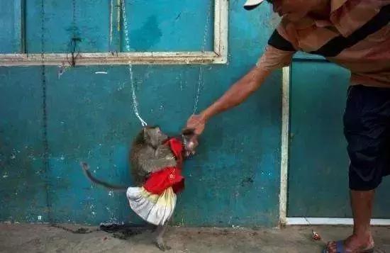 一部令人心酸的真实纪录片,难以忽视的真相纪录片讲了什么