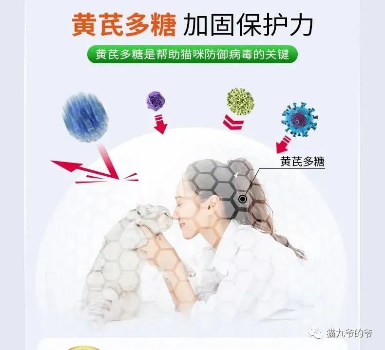 猫疱疹和猫冠状病毒能一起感染吗,猫疱疹病毒是猫咪自身携带的吗