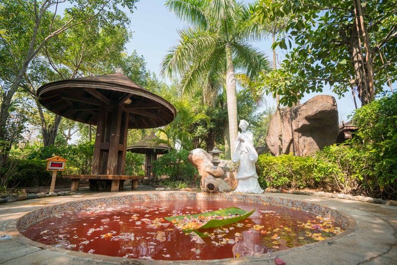 厦门天沐温泉年票,厦门天沐温泉恐龙侏罗纪