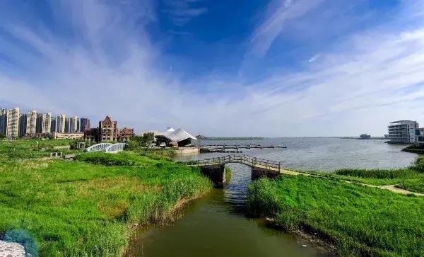 绿色美丽的生态环境,津南绿色生态