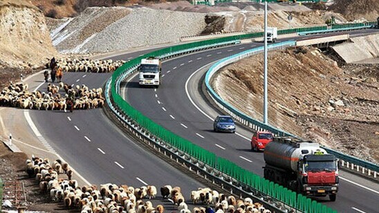 新十八怪,最新十八怪