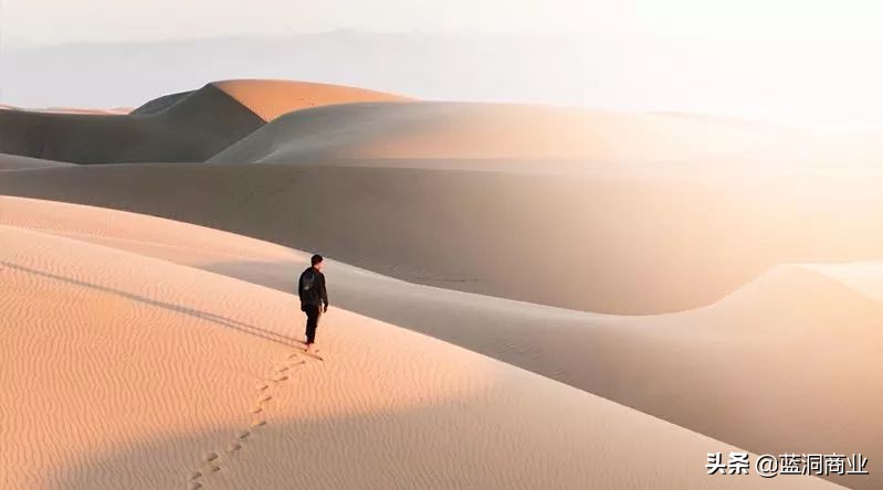 网易考拉简介视频,考拉闯入