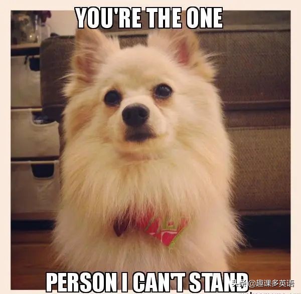 Icantstandit可不是“我站不住了”！理解错会很尴尬...