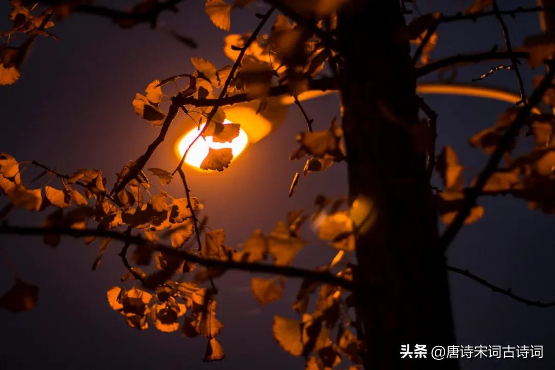 常有感恩之心文案,感恩之心常在