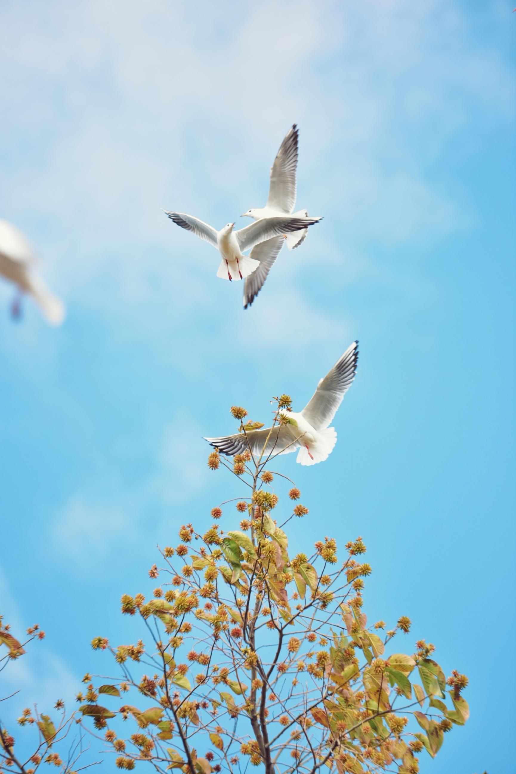 云南昆明最新攻略,昆明旅游不踩坑攻略