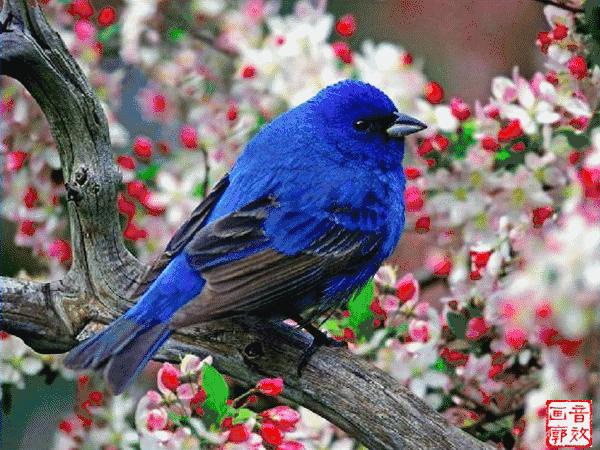 星光璀璨歌曲联唱,星光璀璨诗朗诵