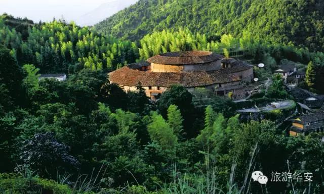 春风十里不如你，我在华安等着您