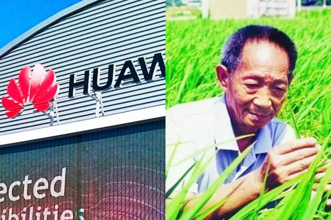 真香警告！近期这些扑面而来的谣言，你中招了几个？