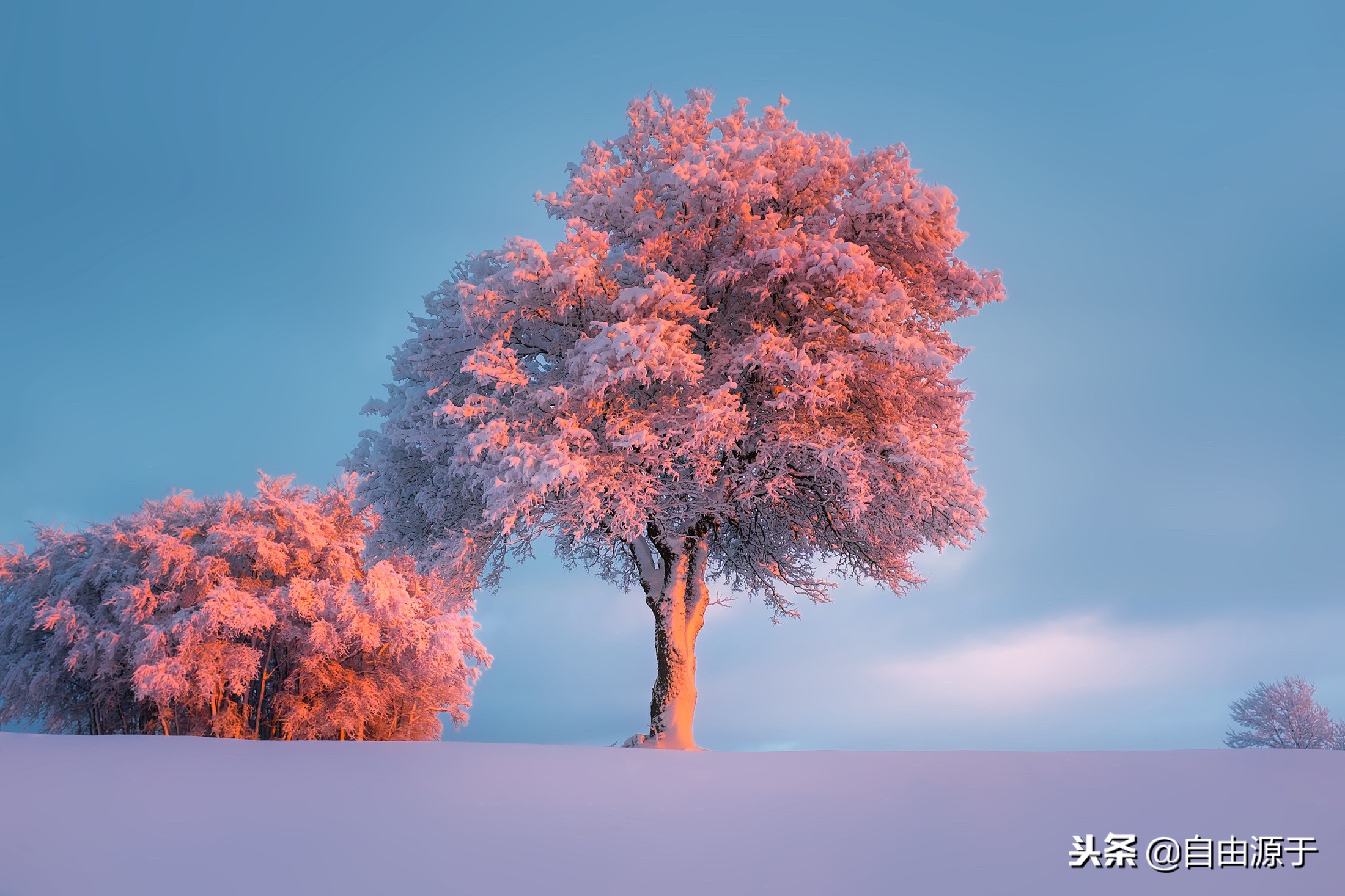 市盈率等于市销率乘净利率,市盈率低净利率为什么不高