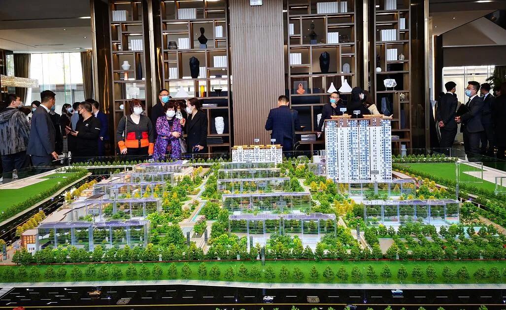 本土大鳄紫薇PK卓越新贵，谁能更领风骚