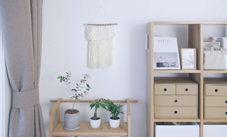 此心安处是吾家过大年,此心安处是吾家过年的感觉